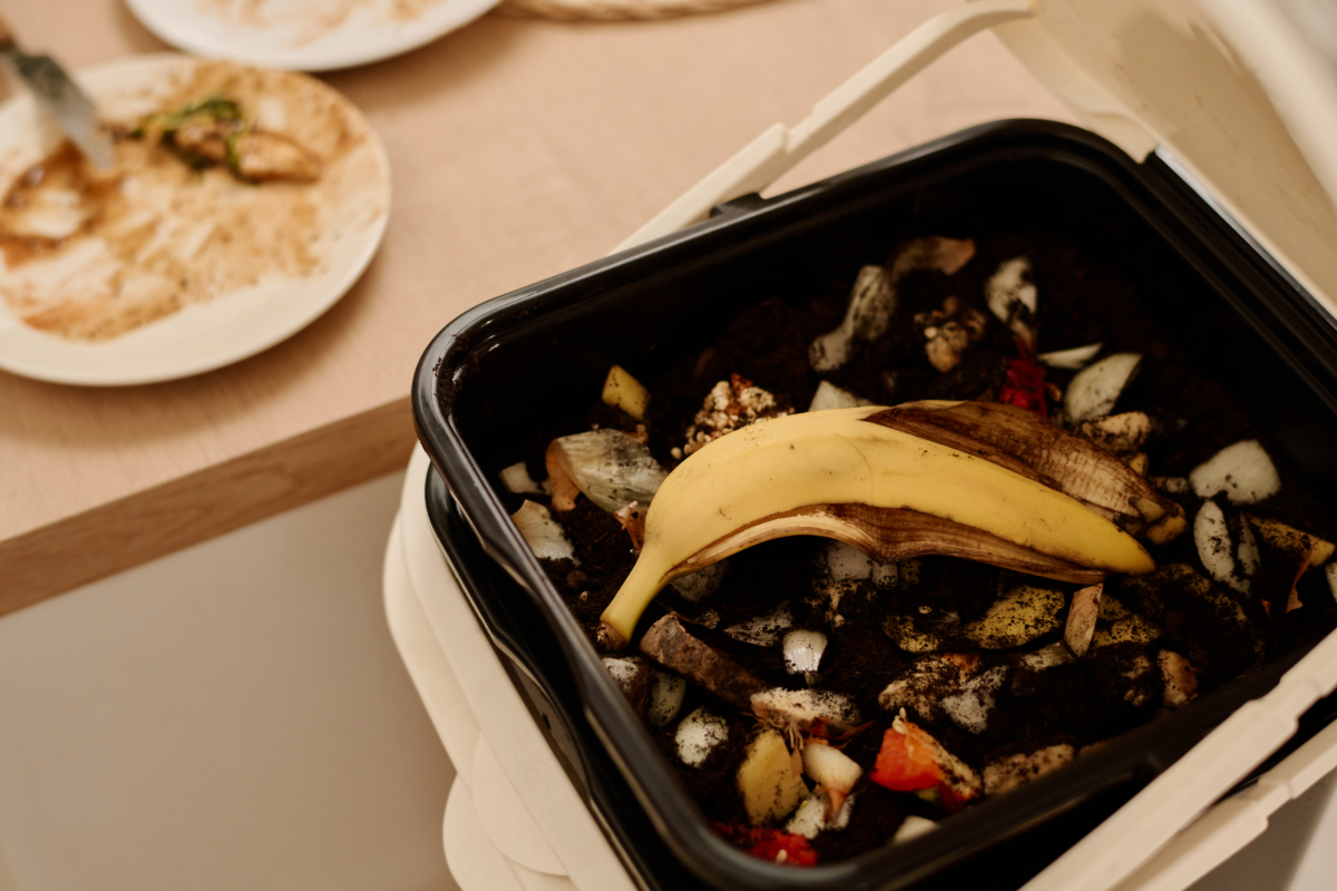 Biomüll richtig aufbewahren